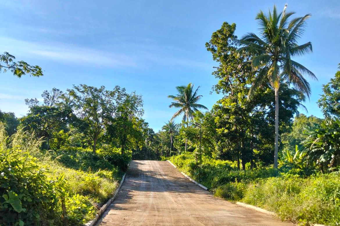 Land for Sale in Kaytitinga I, Alfonso, Cavite – photo 8