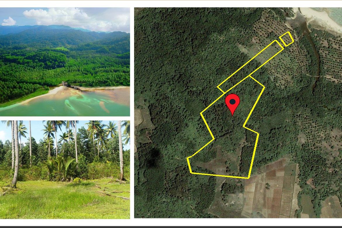 Land for Sale in Kemdeng, San Vicente, Palawan