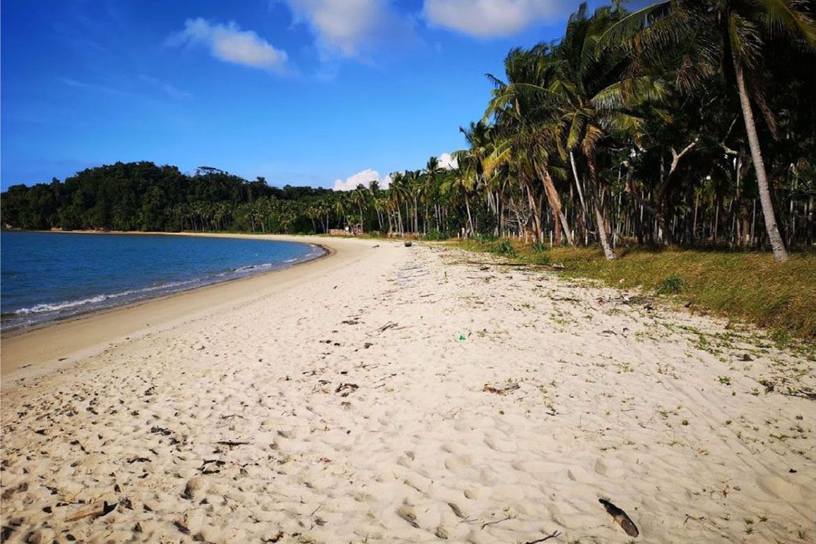Land for Sale in Kemdeng, San Vicente, Palawan – photo 6