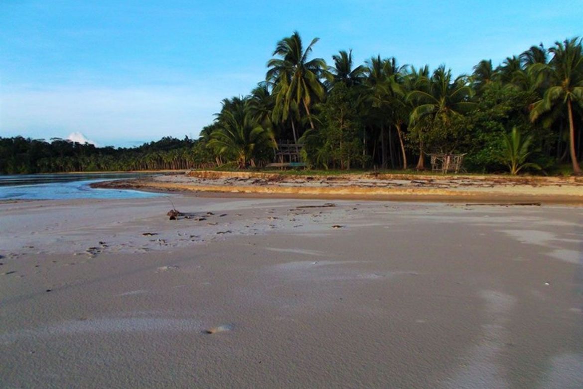 Land for Sale in Kemdeng, San Vicente, Palawan – photo 7