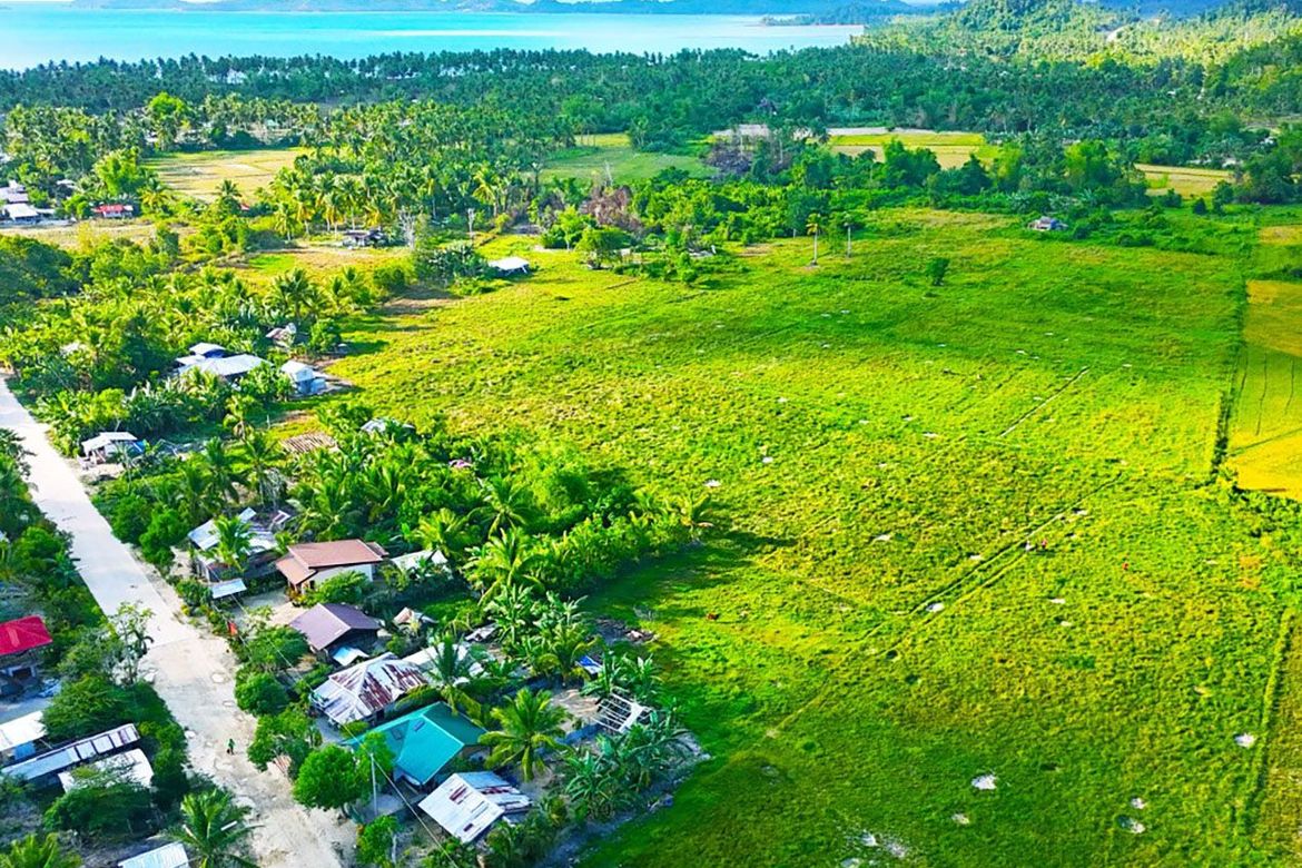 Land for Sale in Kemdeng, San Vicente, Palawan – photo 2