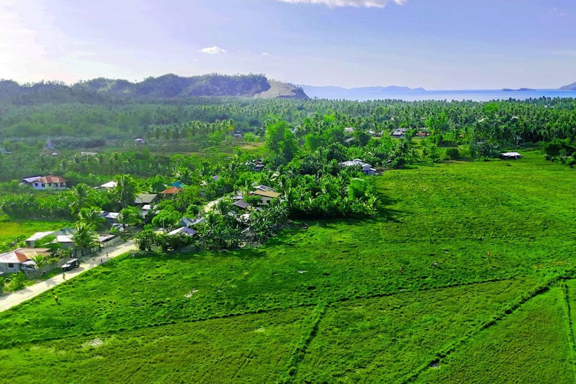 Land for Sale in Kemdeng, San Vicente, Palawan – photo 3