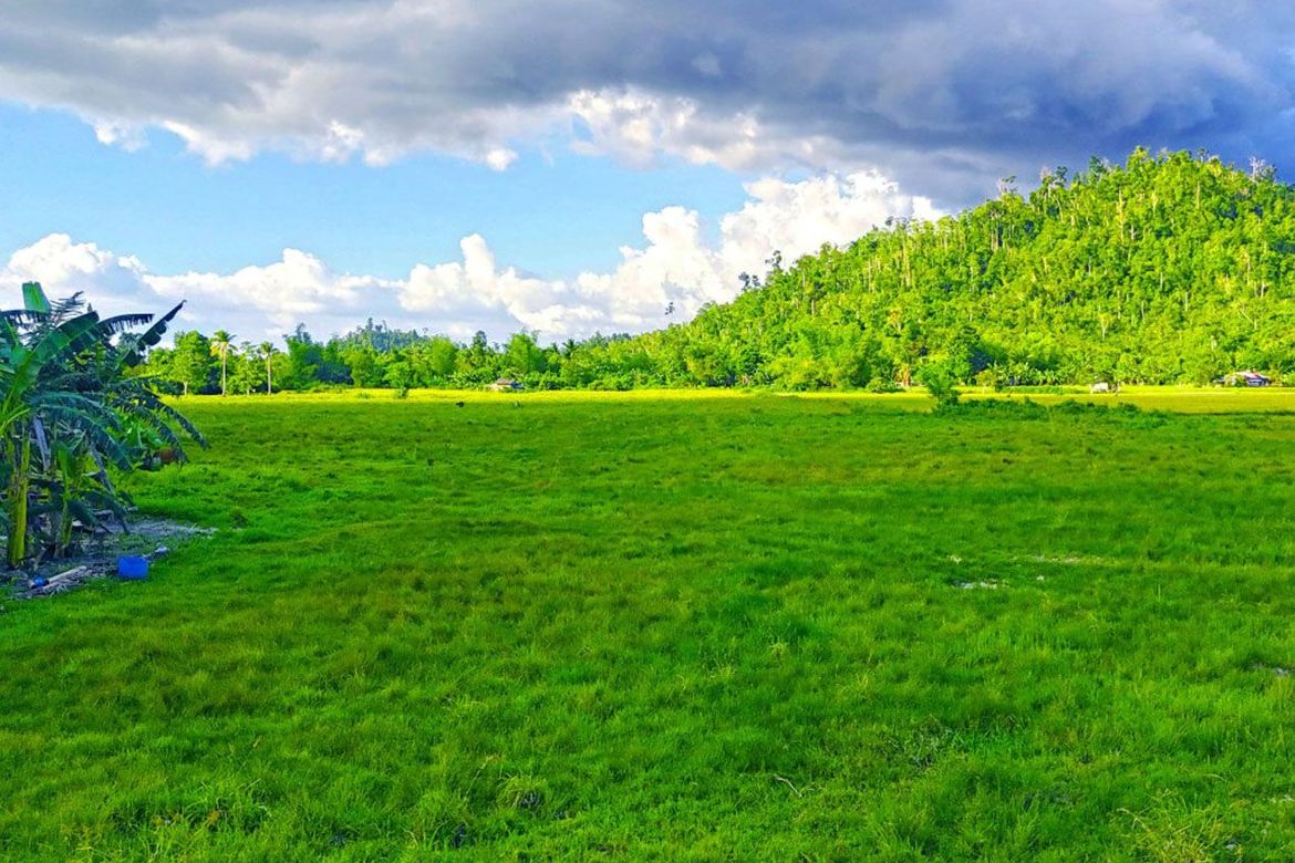 Land for Sale in Kemdeng, San Vicente, Palawan – photo 6