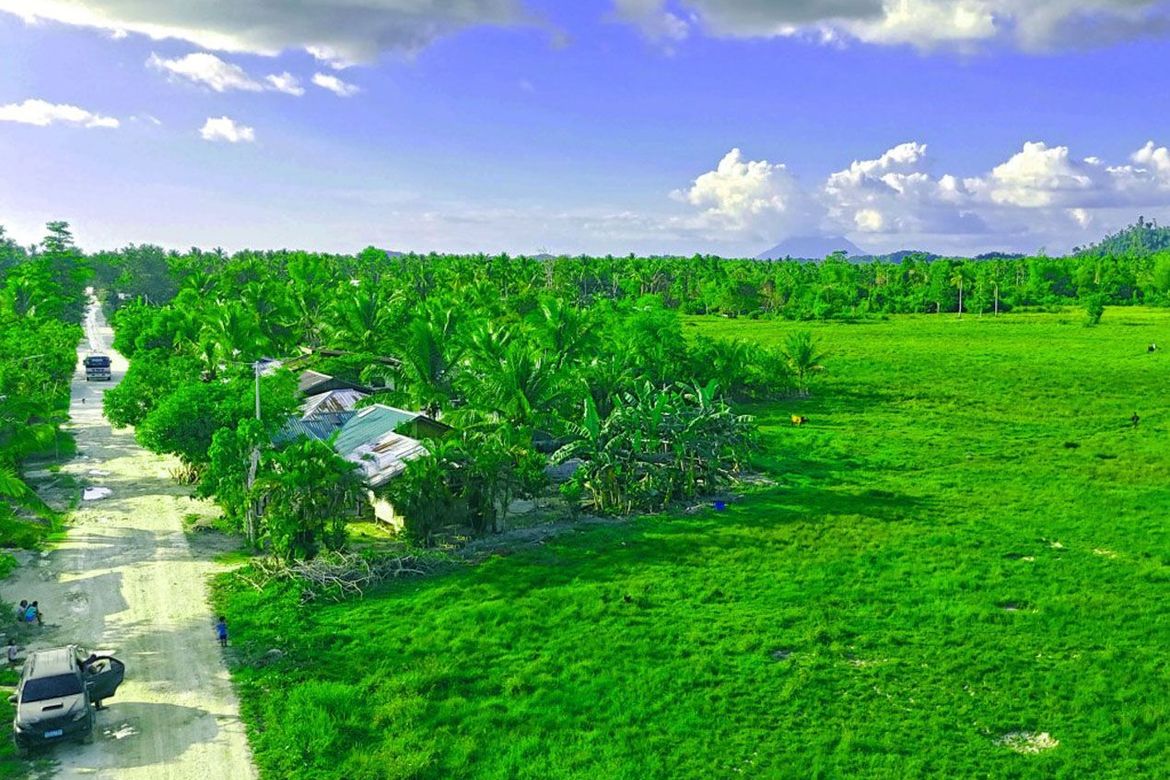 Land for Sale in Kemdeng, San Vicente, Palawan – photo 7