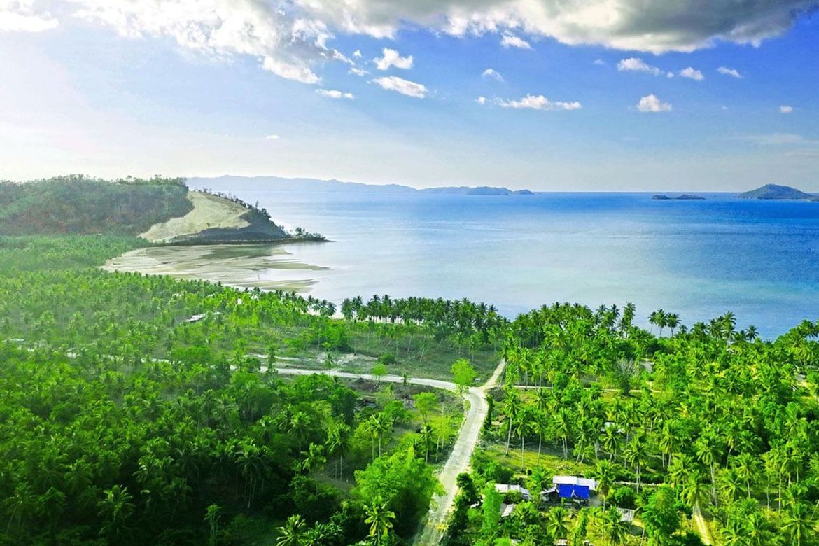 Land for Sale in Kemdeng, San Vicente, Palawan – photo 8