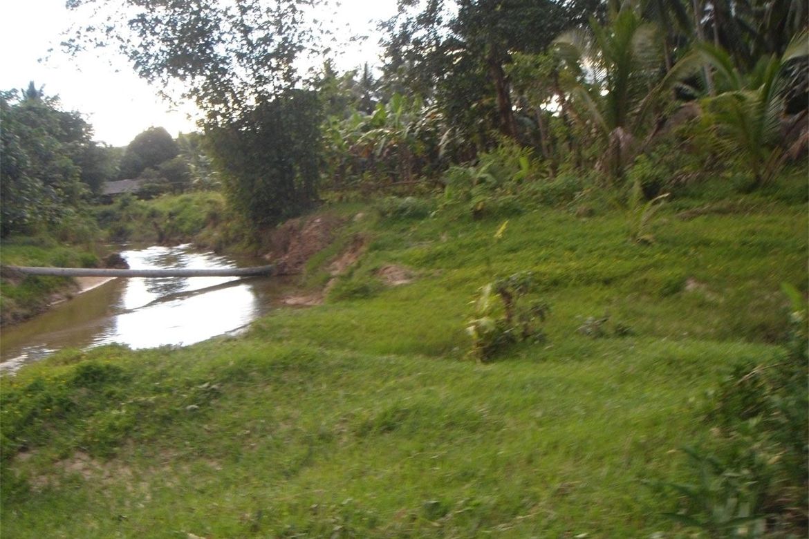 Land for Sale in Kemdeng, San Vicente, Palawan – photo 7