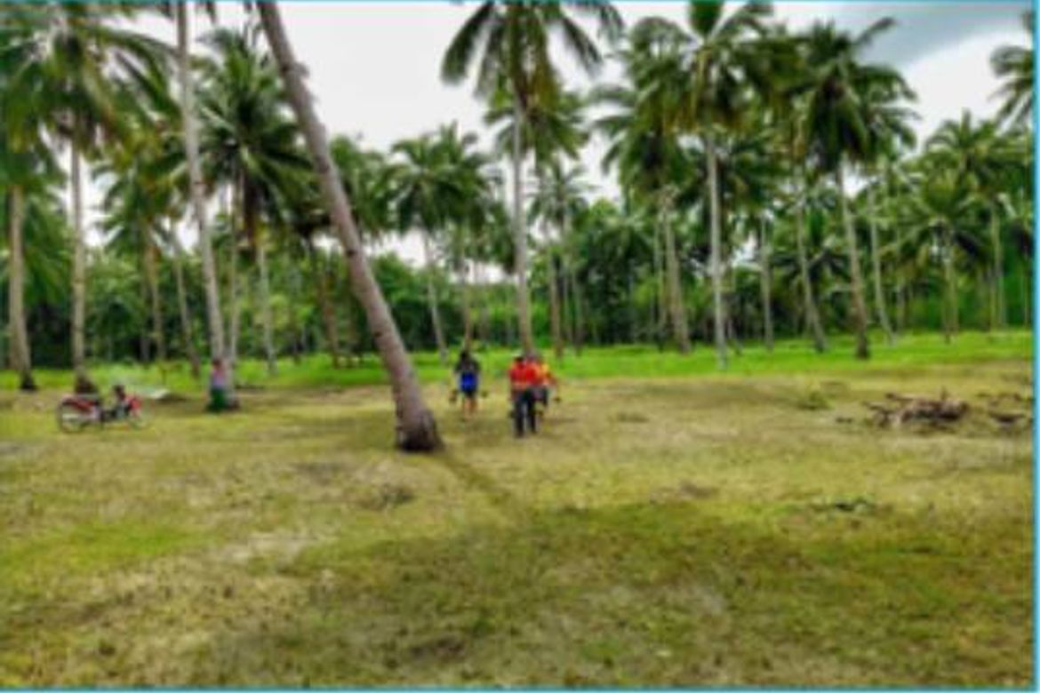 Land for Sale in Kemdeng, San Vicente, Palawan – photo 2