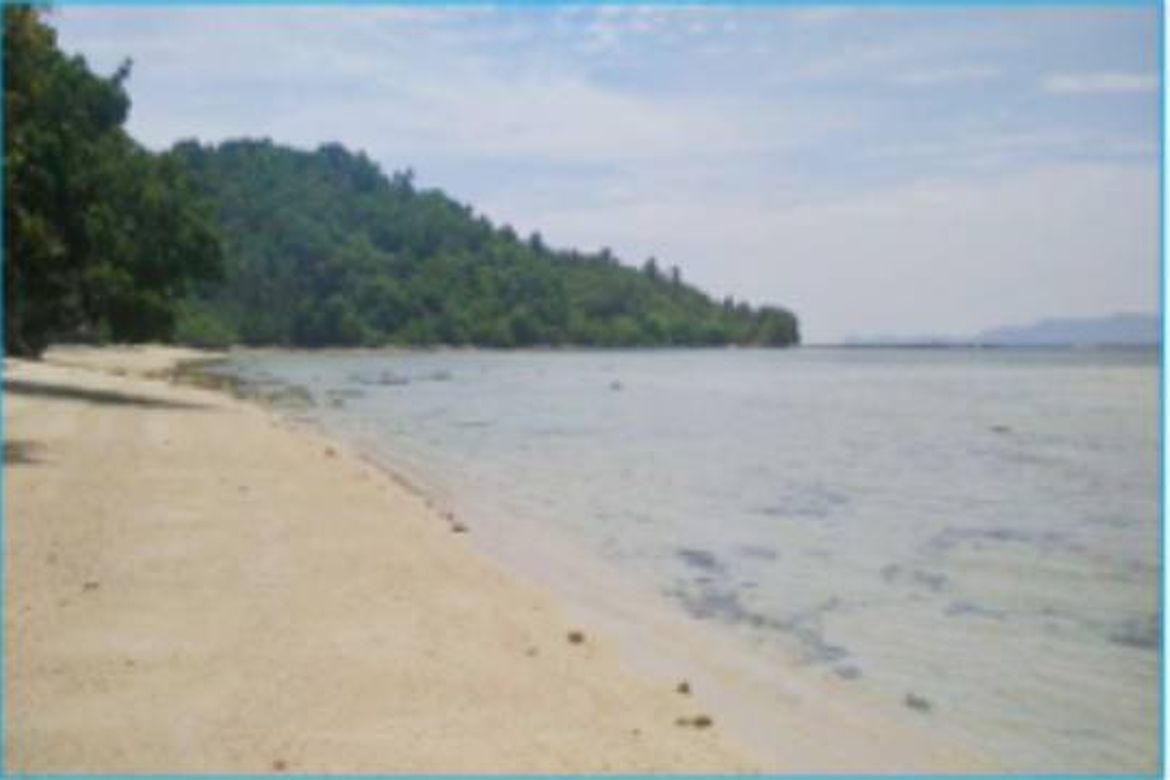 Land for Sale in Kemdeng, San Vicente, Palawan – photo 5