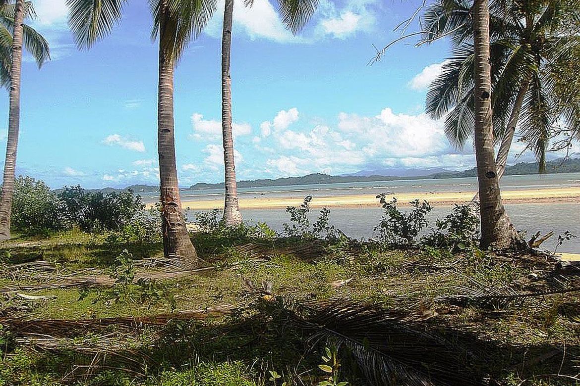 Land for Sale in Kemdeng, San Vicente, Palawan – photo 5