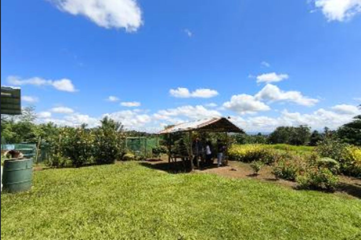 Land for Sale in Kilate, Davao City, Davao del Sur