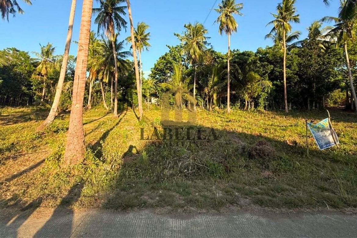 Land for Sale in Kinabag-An, Calape, Bohol – photo 2