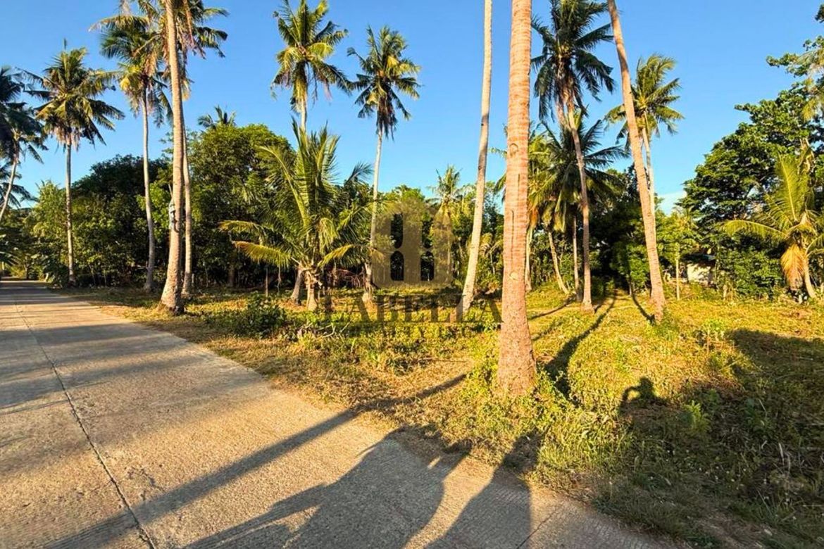 Land for Sale in Kinabag-An, Calape, Bohol – photo 4