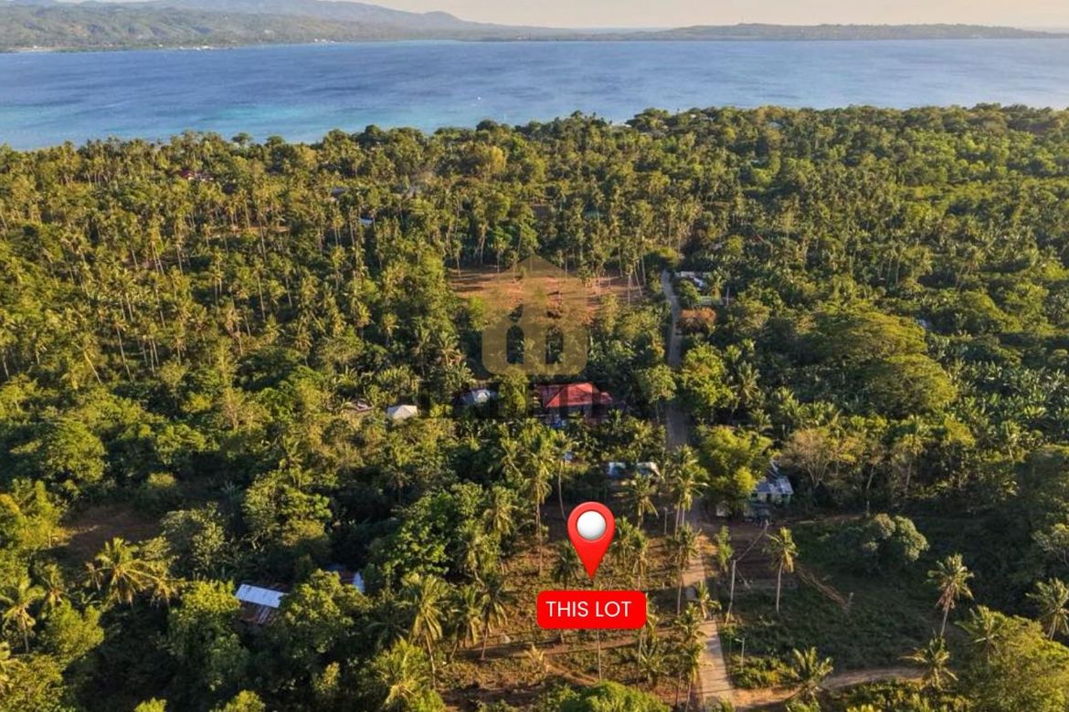 Land for Sale in Kinabag-An, Calape, Bohol – photo 5