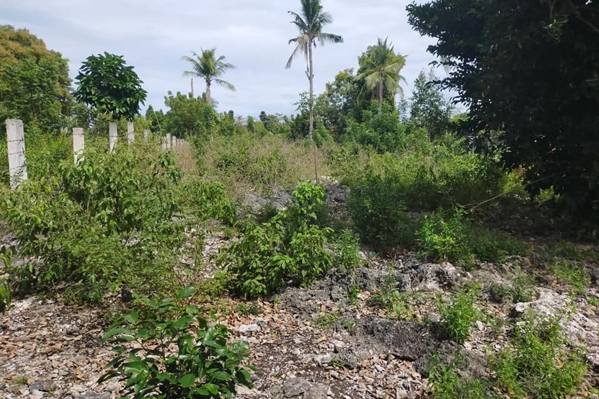 Land for Sale in Kinabag-An, Calape, Bohol – photo 2