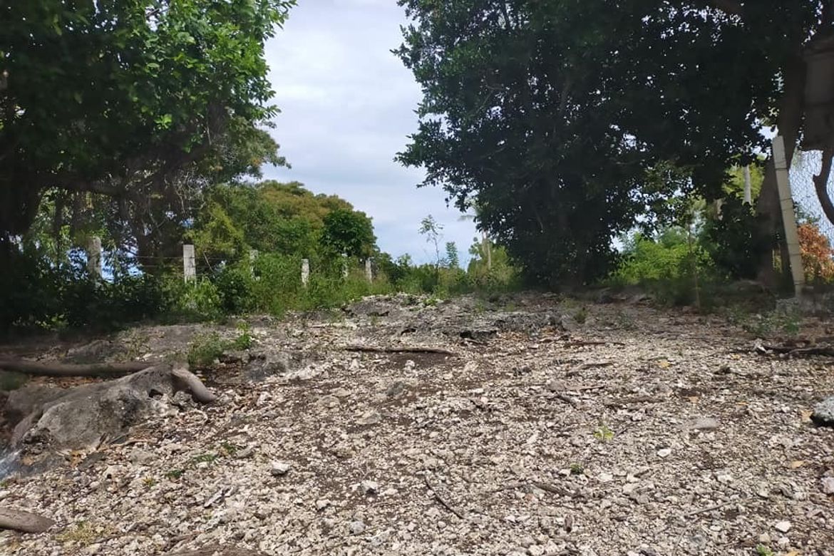 Land for Sale in Kinabag-An, Calape, Bohol – photo 3