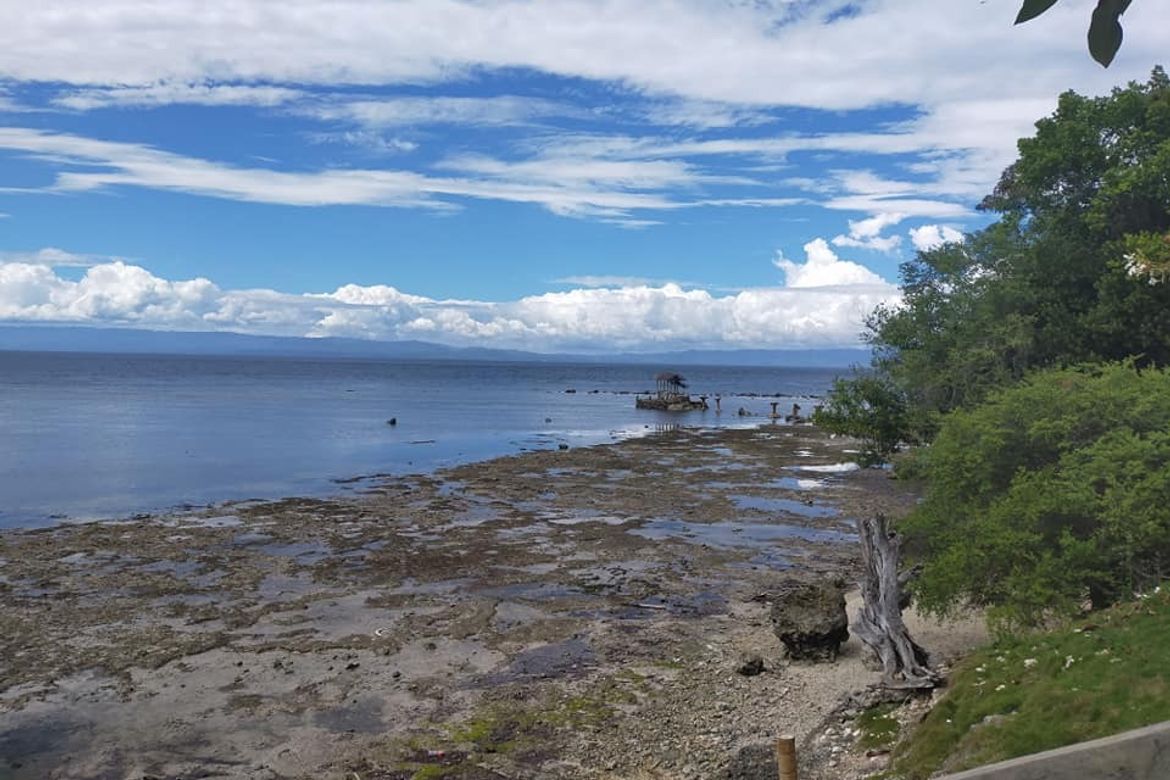 Land for Sale in Kinabag-An, Calape, Bohol – photo 4