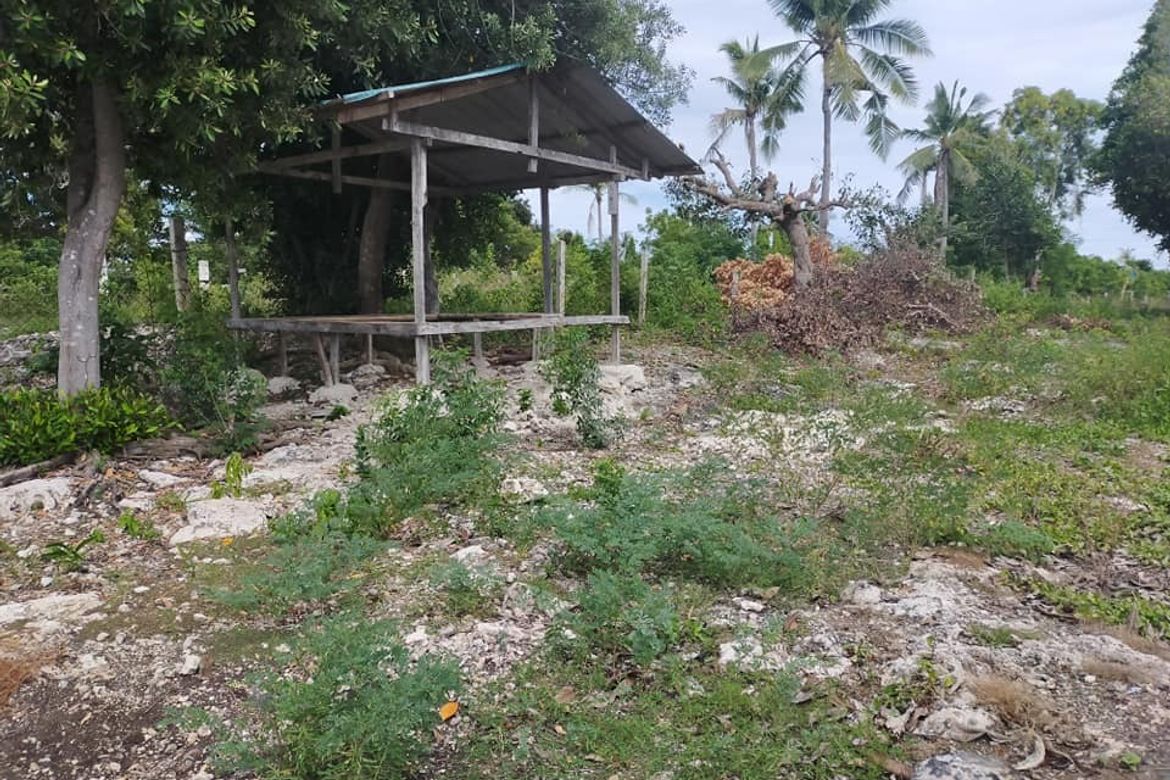 Land for Sale in Kinabag-An, Calape, Bohol – photo 6