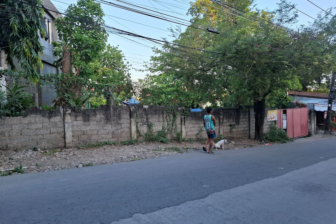 Land for Sale in Kinasang-An Pardo, Cebu City, Cebu – photo 2