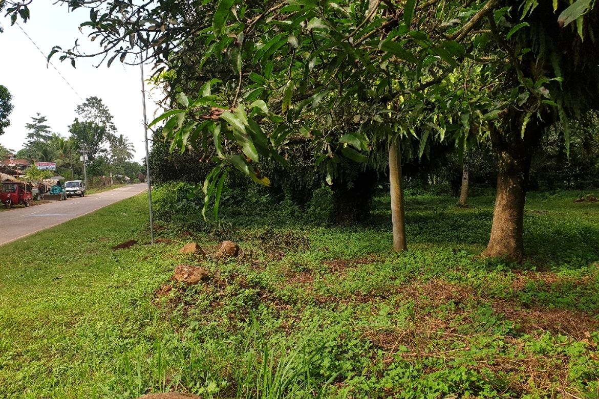 Land for Sale in Kinawe, Libona, Bukidnon