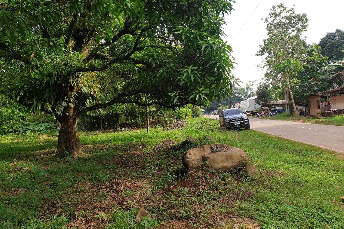 Land for Sale in Kinawe, Libona, Bukidnon – photo 2