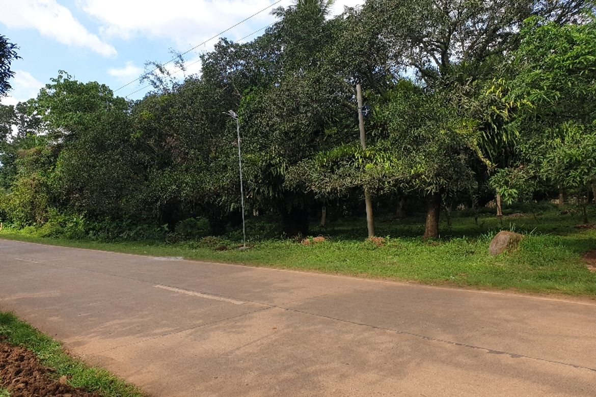 Land for Sale in Kinawe, Libona, Bukidnon – photo 6