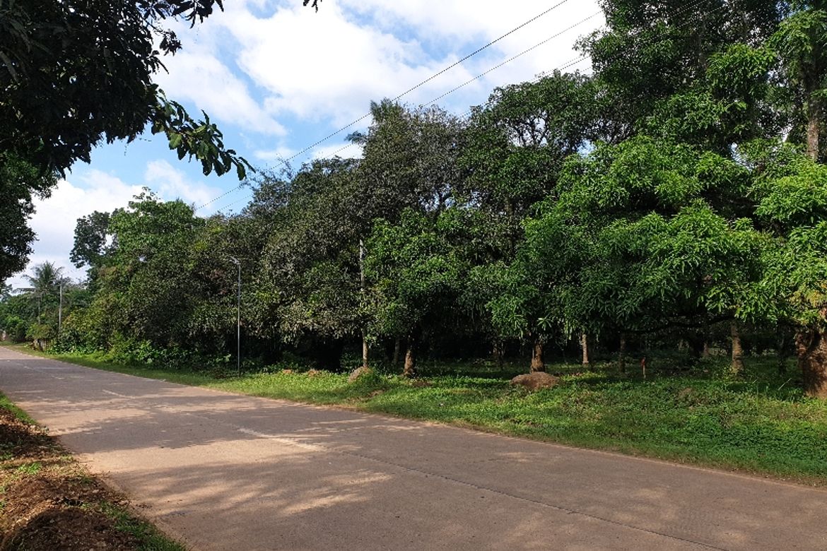 Land for Sale in Kinawe, Libona, Bukidnon – photo 8