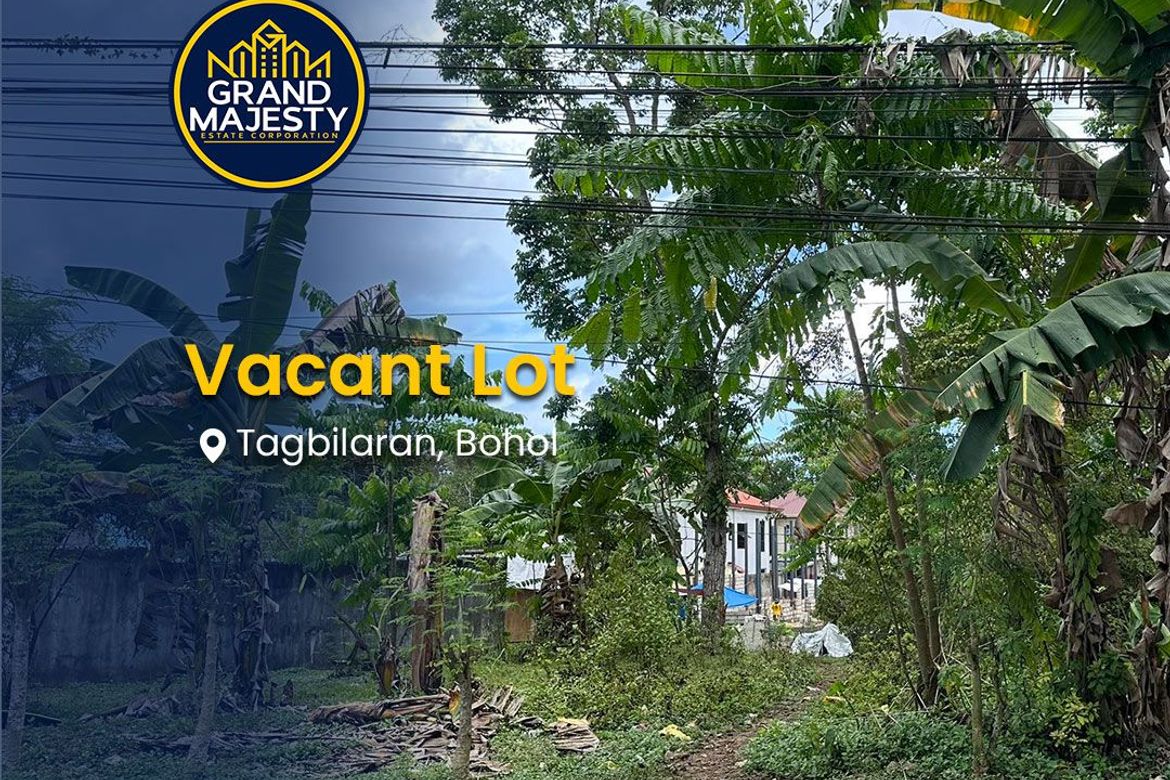 Land for Sale in La Paz, Carmen, Bohol