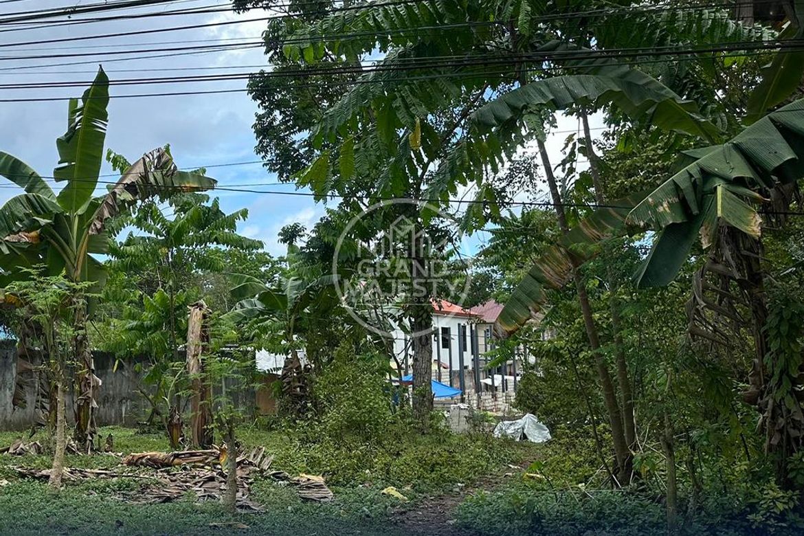 Land for Sale in La Paz, Carmen, Bohol – photo 4