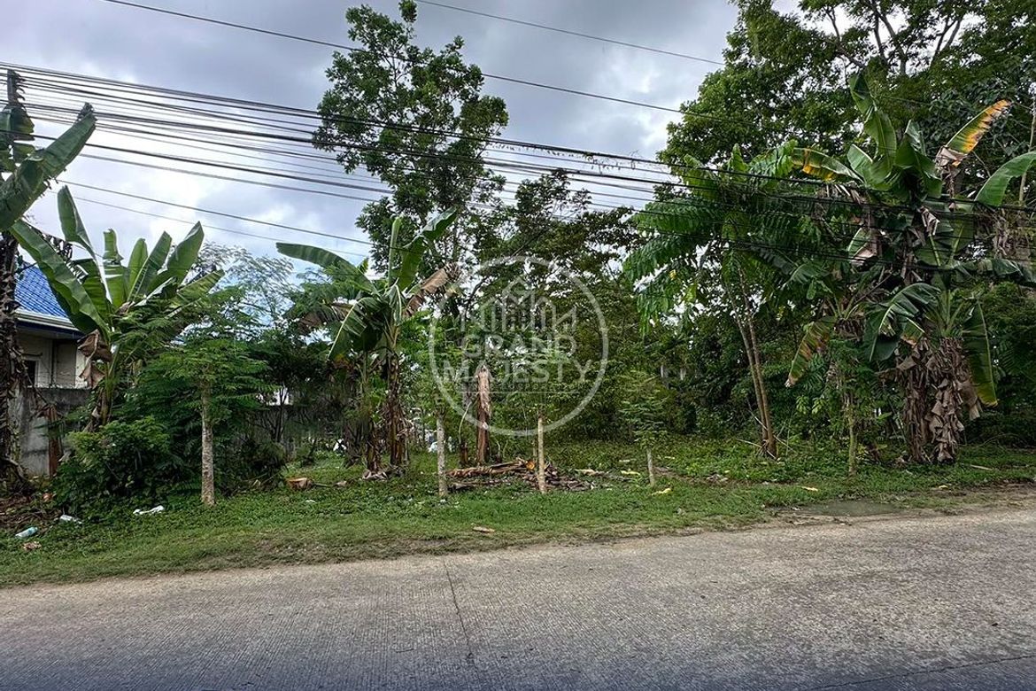 Land for Sale in La Paz, Carmen, Bohol – photo 5