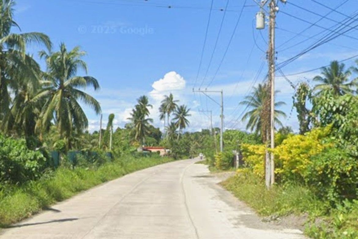 Land for Sale in La Paz, Carmen, Davao del Norte – photo 4