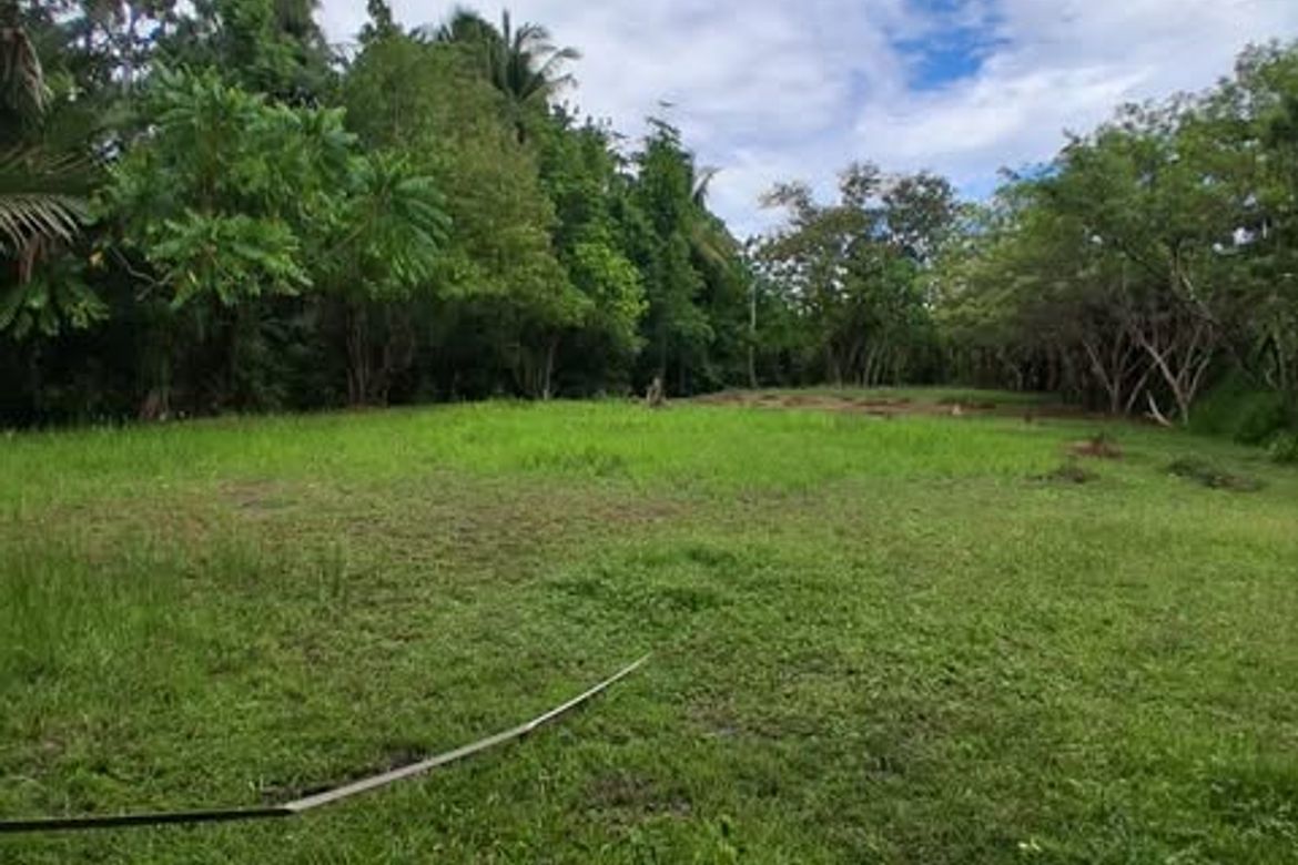 Land for Sale in La Paz, Carmen, Davao del Norte
