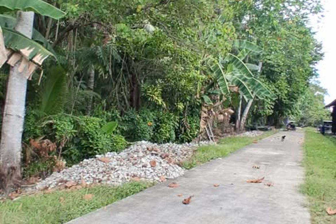 Land for Sale in La Paz, Carmen, Davao del Norte – photo 5
