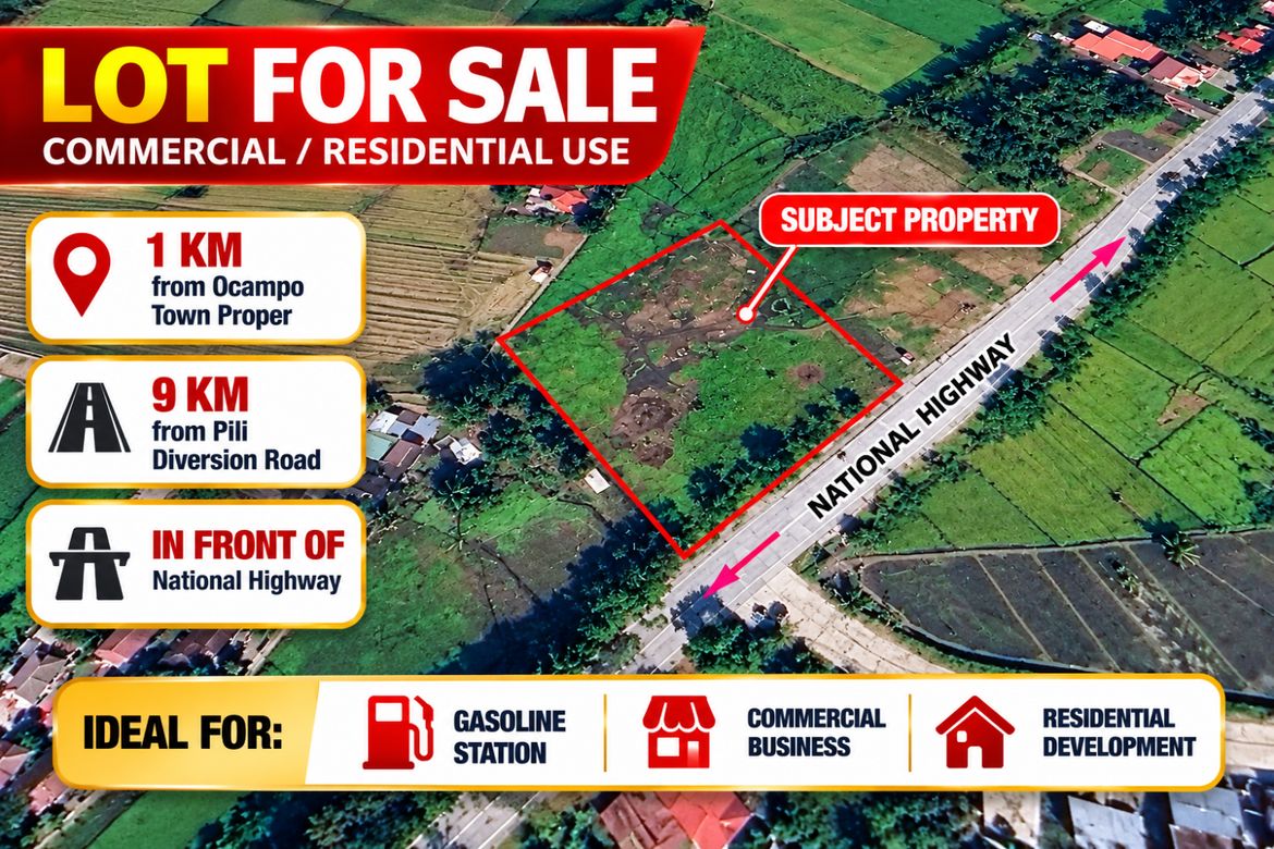 Land for Sale in La Purisima Nuevo, Ocampo, Camarines Sur