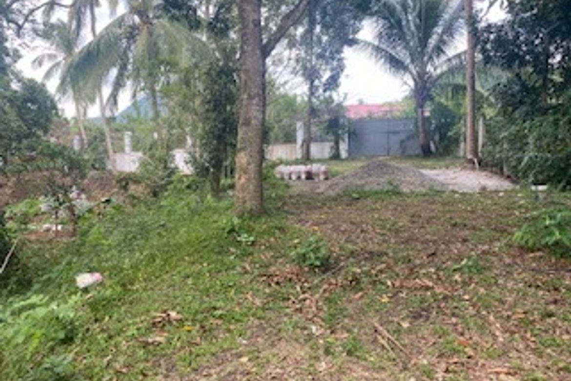 Land for Sale in Labac, Cuenca, Batangas – photo 4