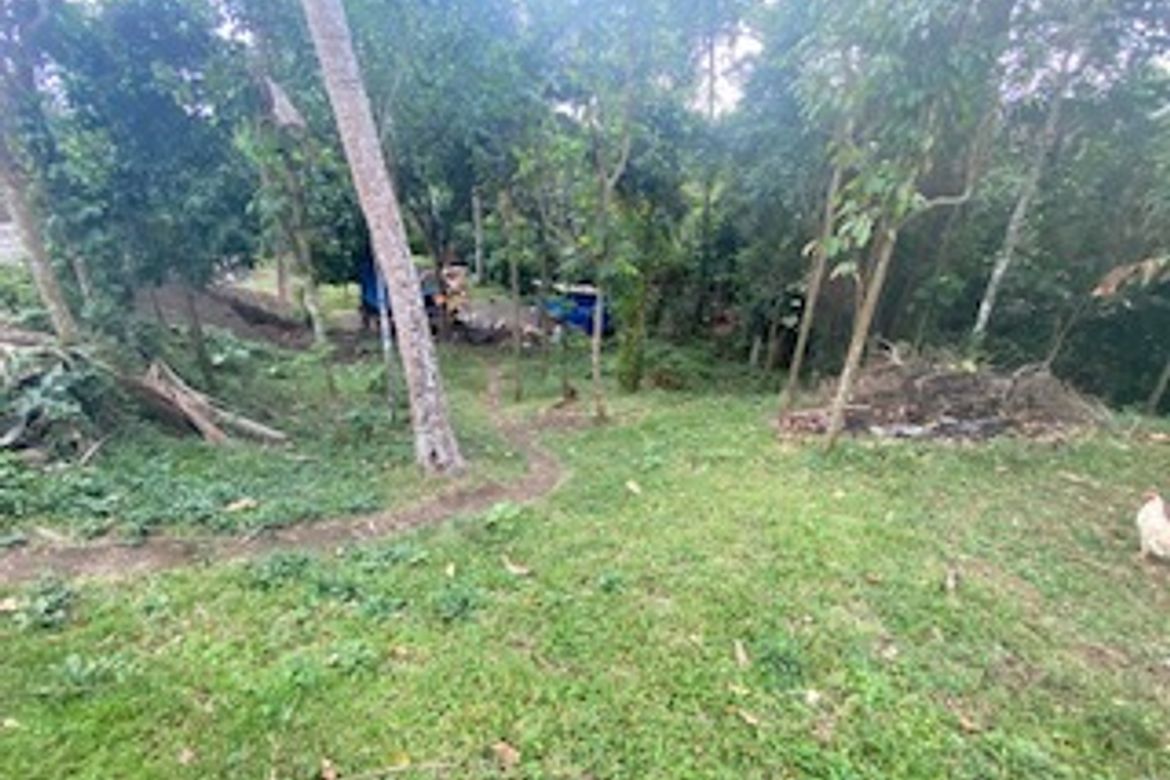 Land for Sale in Labac, Cuenca, Batangas – photo 8