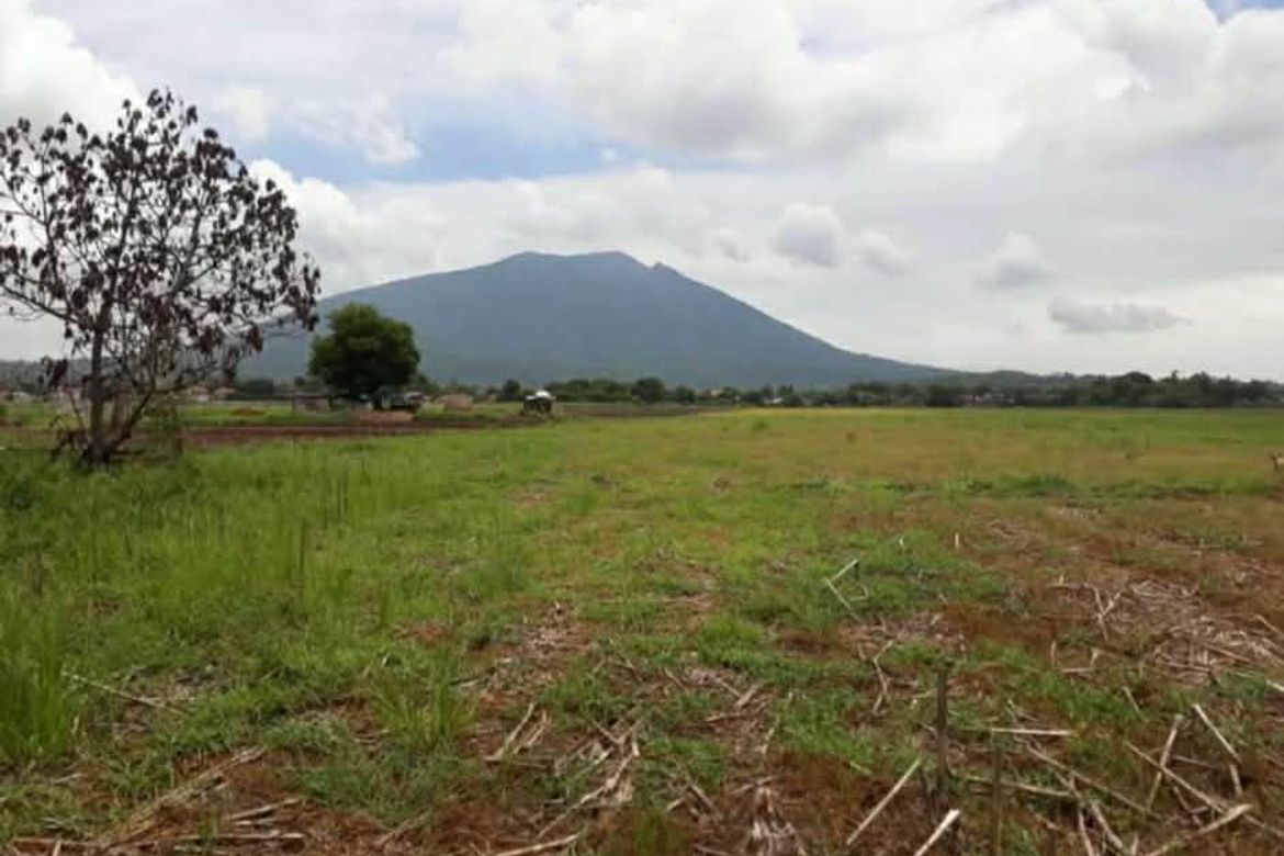 Land for Sale in Lacmit, Arayat, Pampanga – photo 2