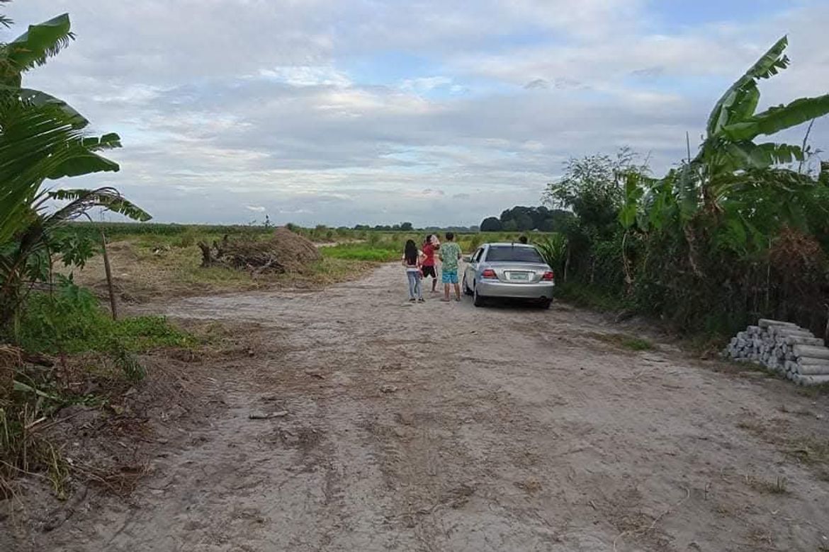 Land for Sale in Lacmit, Arayat, Pampanga – photo 7