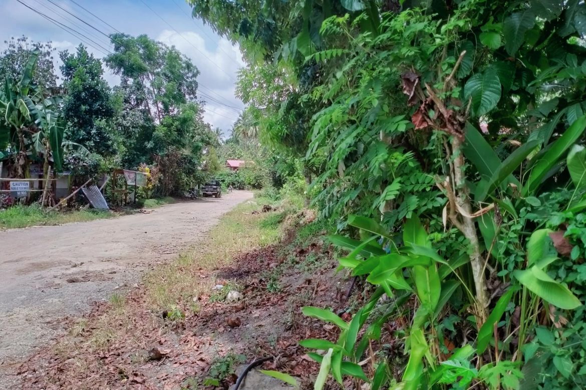 Land for Sale in Lacson, Davao City, Davao del Sur
