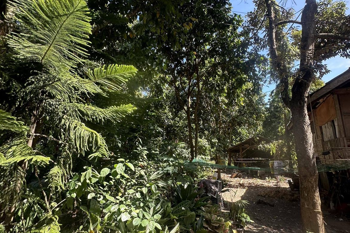 Land for Sale in Lacson, Davao City, Davao del Sur – photo 2