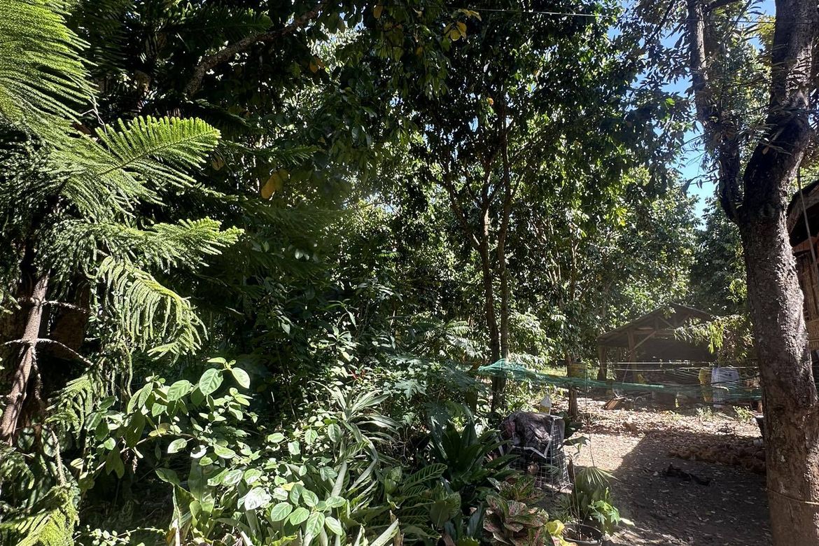 Land for Sale in Lacson, Davao City, Davao del Sur – photo 4