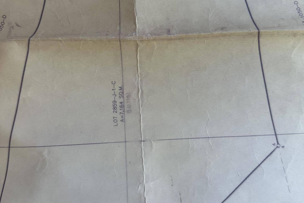 Land for Sale in Lacson, Davao City, Davao del Sur – photo 6