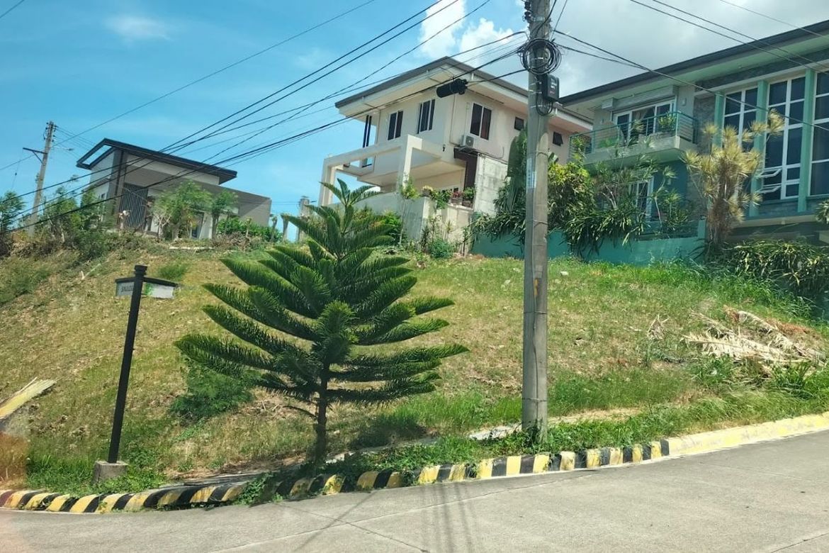 Land for Sale in Lagtang, Talisay, Cebu – photo 2