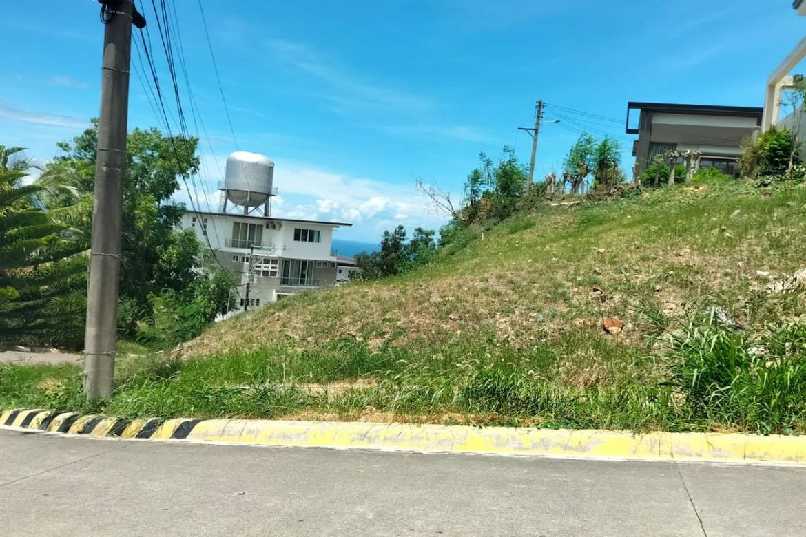 Land for Sale in Lagtang, Talisay, Cebu – photo 6