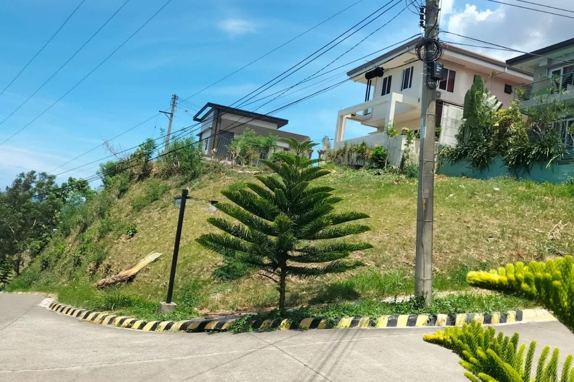 Land for Sale in Lagtang, Talisay, Cebu – photo 7