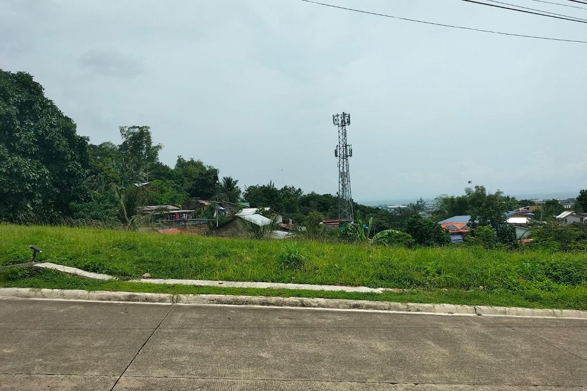 Land for Sale in Lagtang, Talisay, Cebu – photo 2