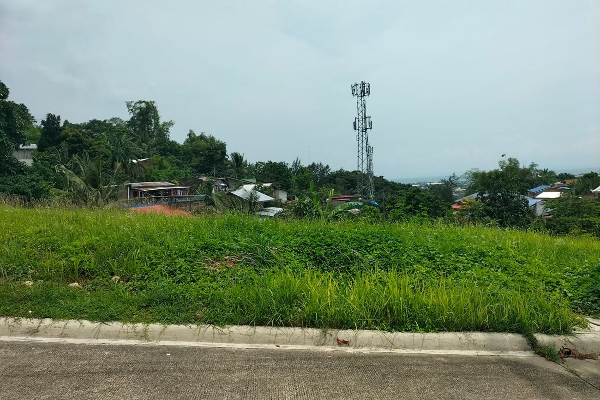 Land for Sale in Lagtang, Talisay, Cebu – photo 4