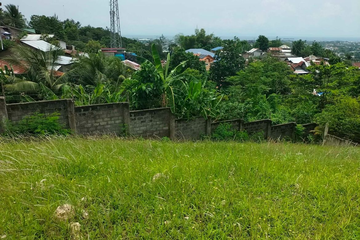 Land for Sale in Lagtang, Talisay, Cebu – photo 7