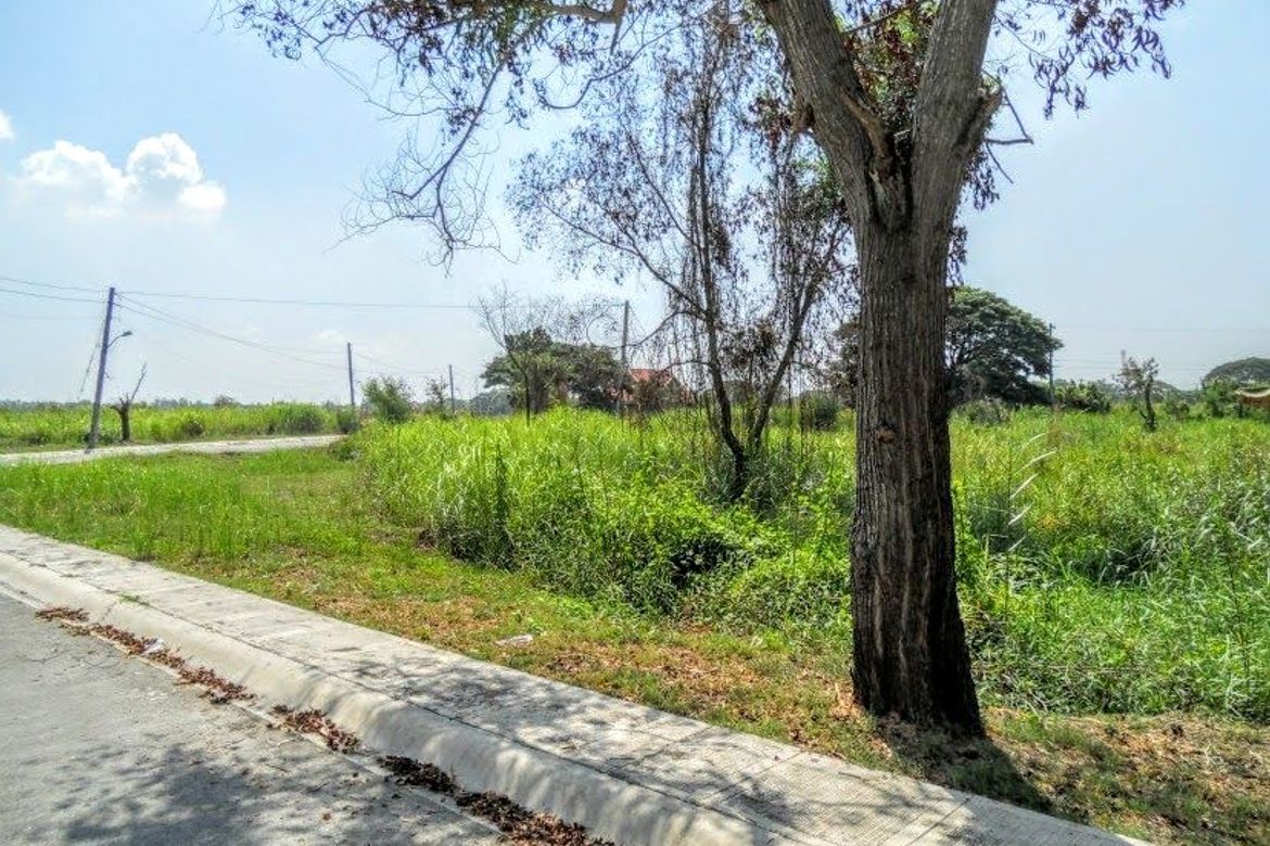 Land for Sale in Lagundi, Mexico, Pampanga – photo 4