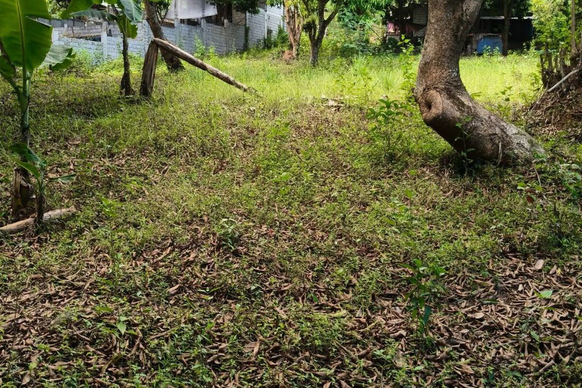 Land for Sale in Lagundi, Morong, Rizal – photo 2