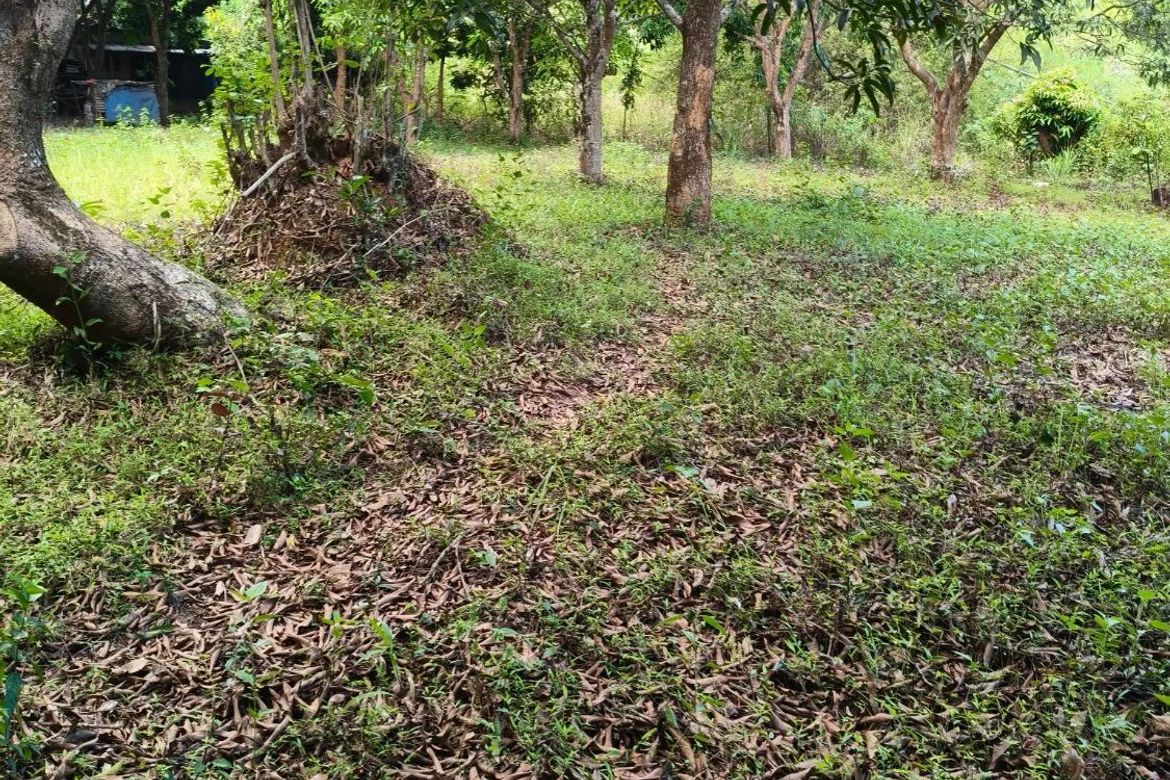 Land for Sale in Lagundi, Morong, Rizal – photo 5